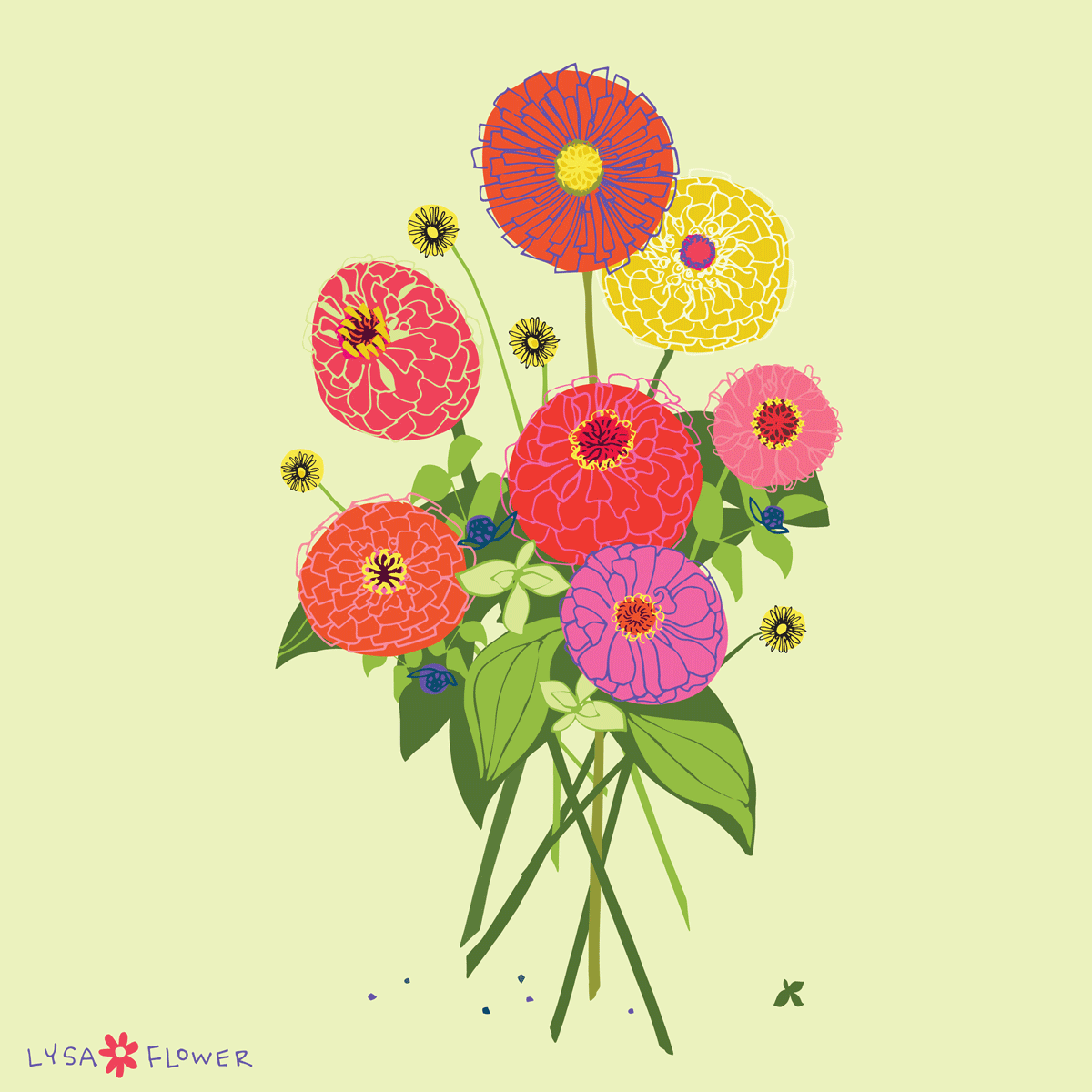 LYSA-FLOWER_2018_ZINNIA-WARRIOR-PRINCESS_01.gif