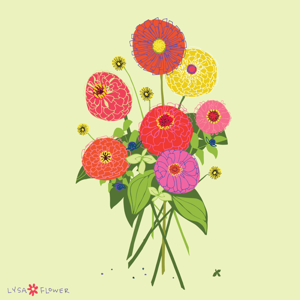 WEB-LYSA-FLOWER_2018_ZINNIA-WARRIOR-PRINCESS-01.gif