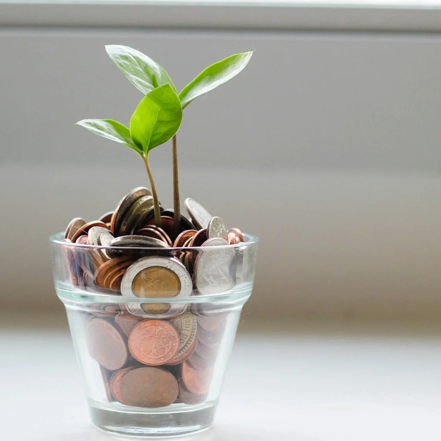 fun-ness factory: exclusive-discounts -vancouver