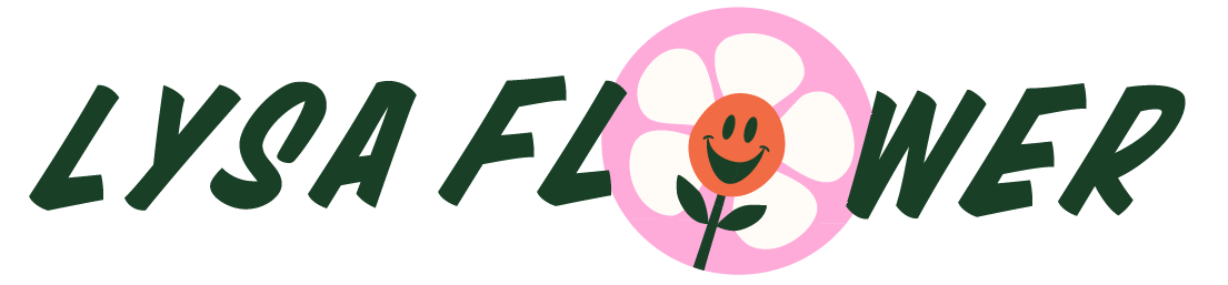 LYSA FLoWER 