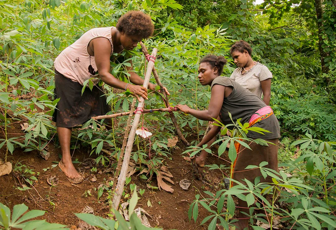 Basel_Buma_Vanikoro_Solomon_Islands_112014_0011_small.jpg