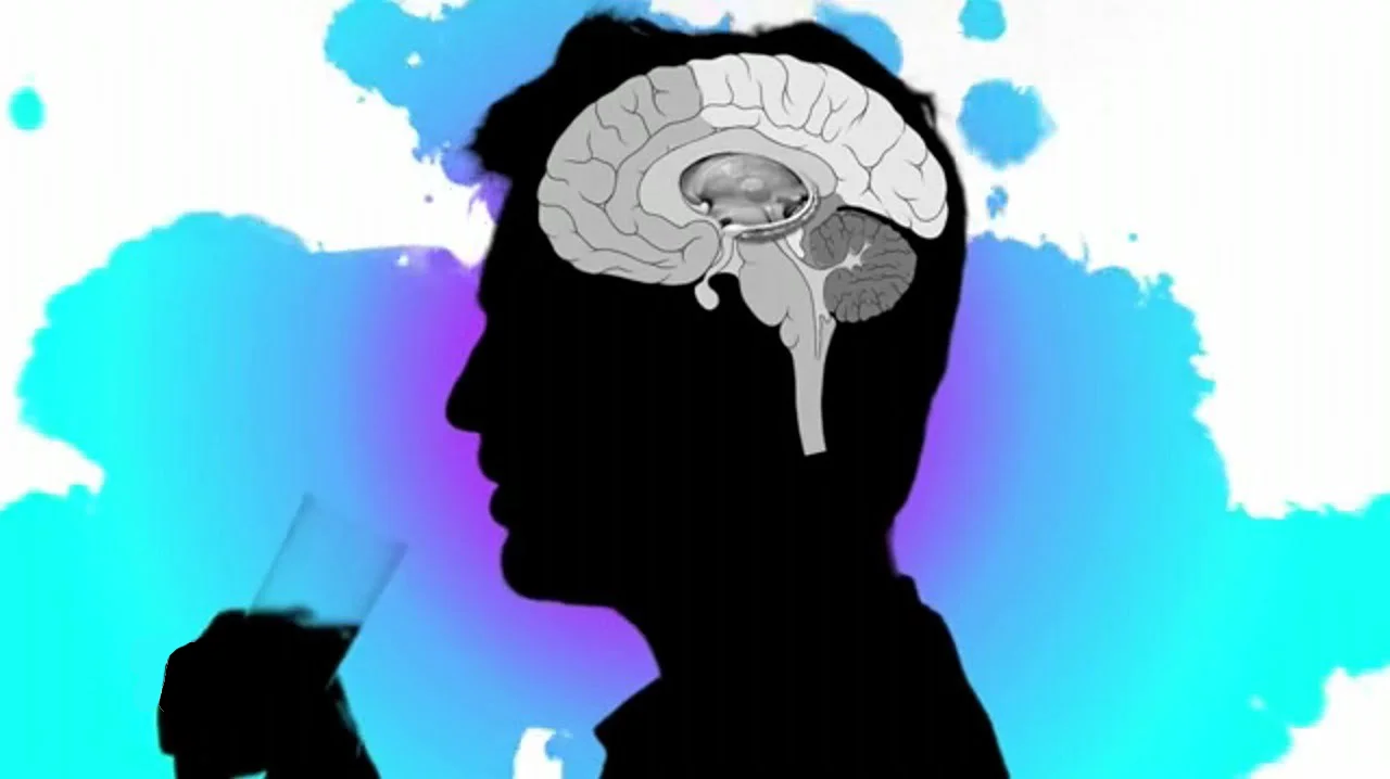 Redes - Drogas cerebro.jpg