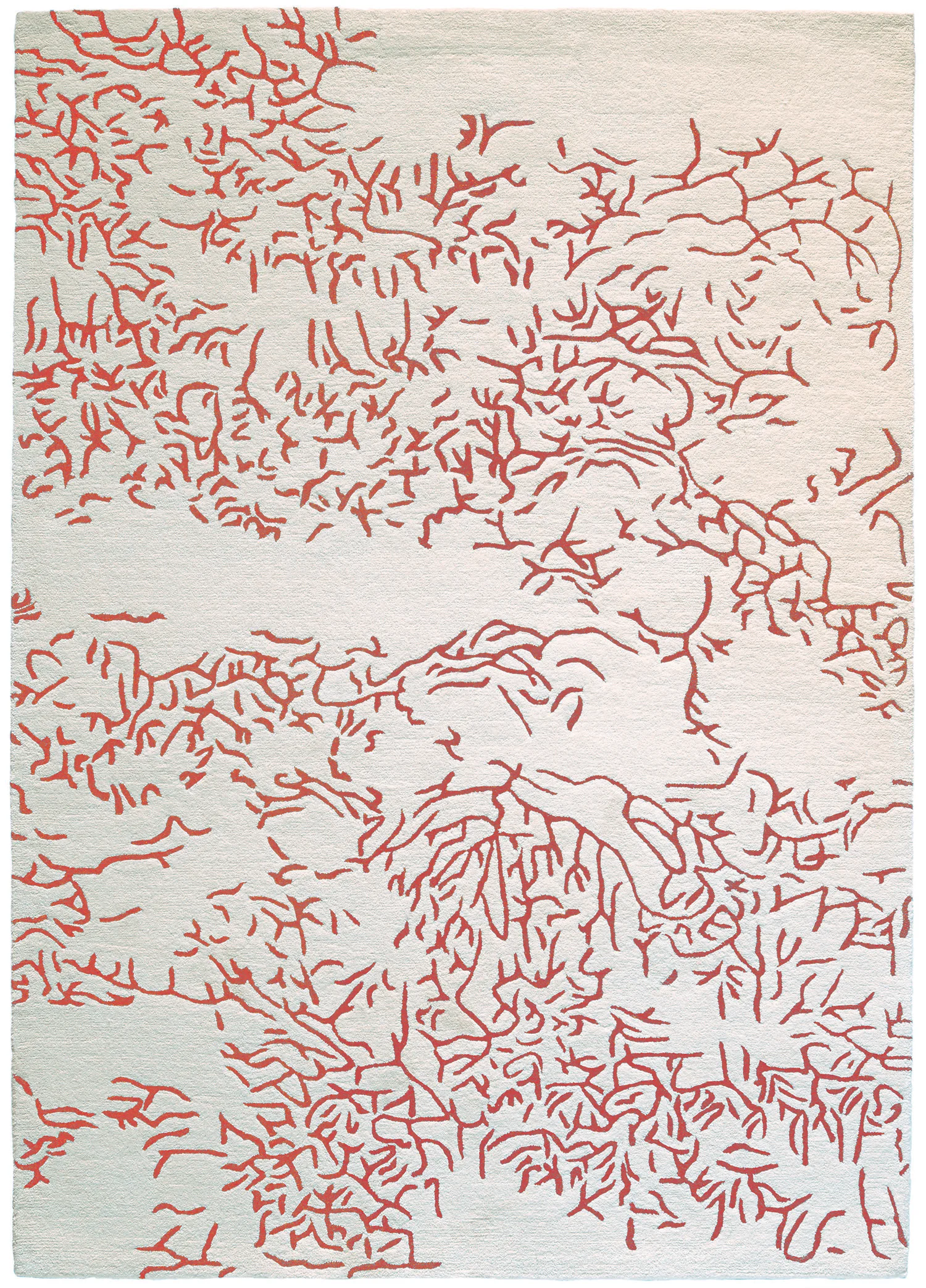 NATURE_Corail_TB ACCESS.jpg