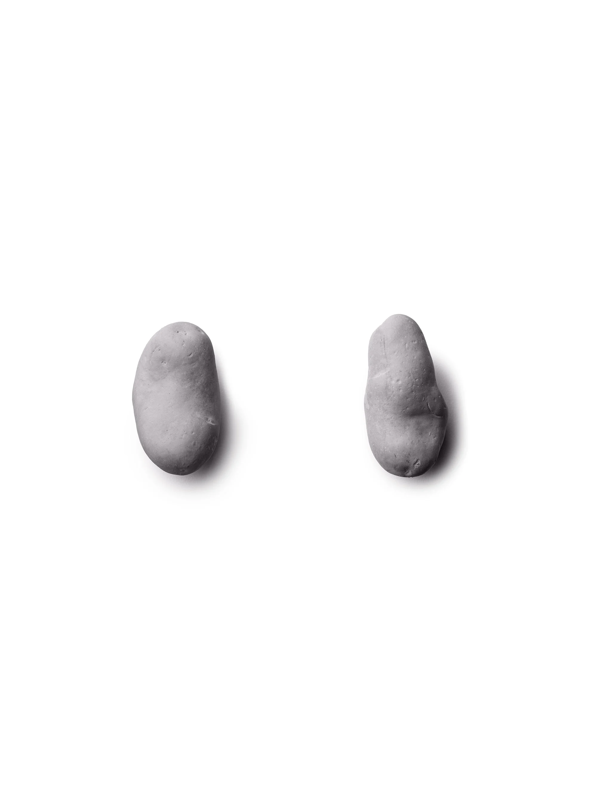 TUBERCULE_01-copie-1 copie.jpg