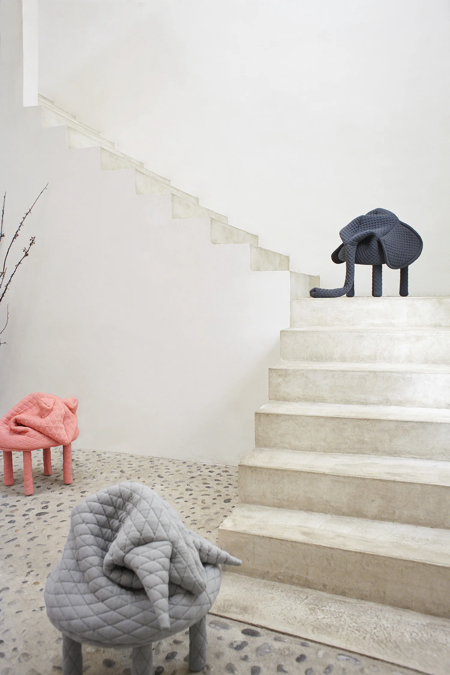 PETSTOOLS_RINDAL.jpg