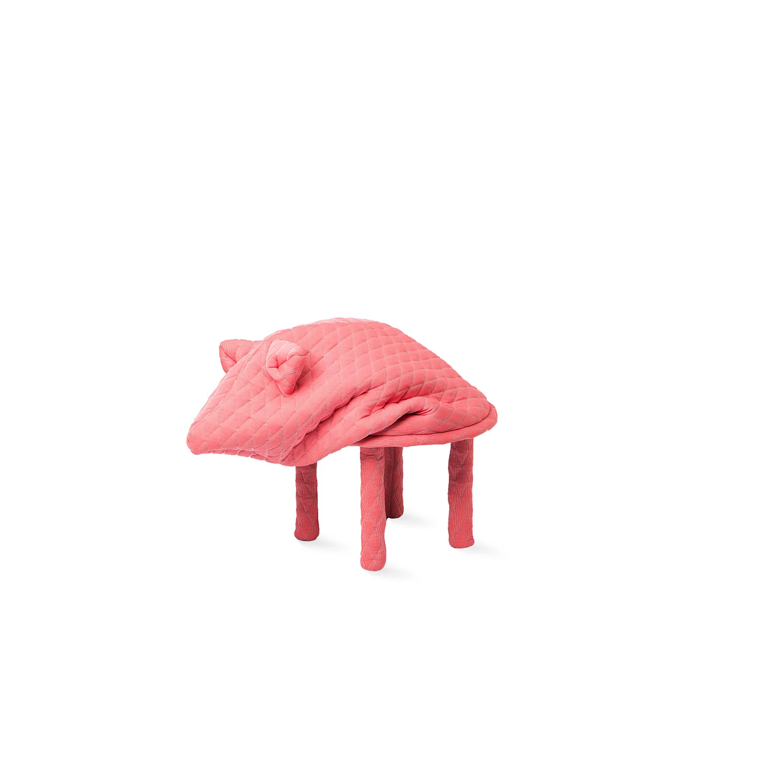 PETSTOOLS-Daisy-02.jpg