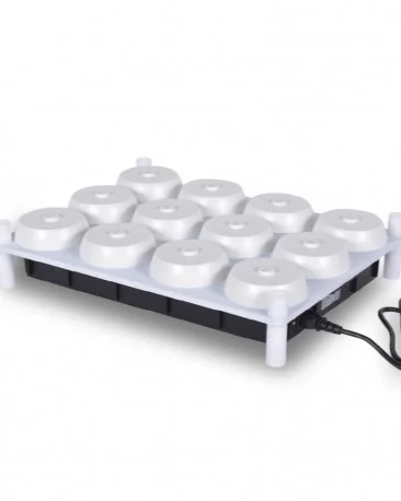 tray-bulb.jpg