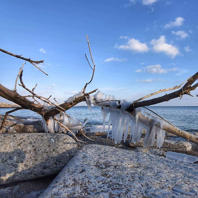While the rest of the city begins to thaw after a bitterly cold start to the February long weekend, the exposed Lake Ontario shoreline will have icicles dangling from every surface until spring arrives in earnest.
.
. 
#icicles #lakeontario #driftwoo