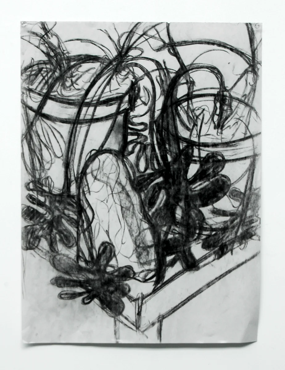 Introduction to Drawing at Purchase College, SUNY (Spring 2012, Fall 2012, Spring 2013)