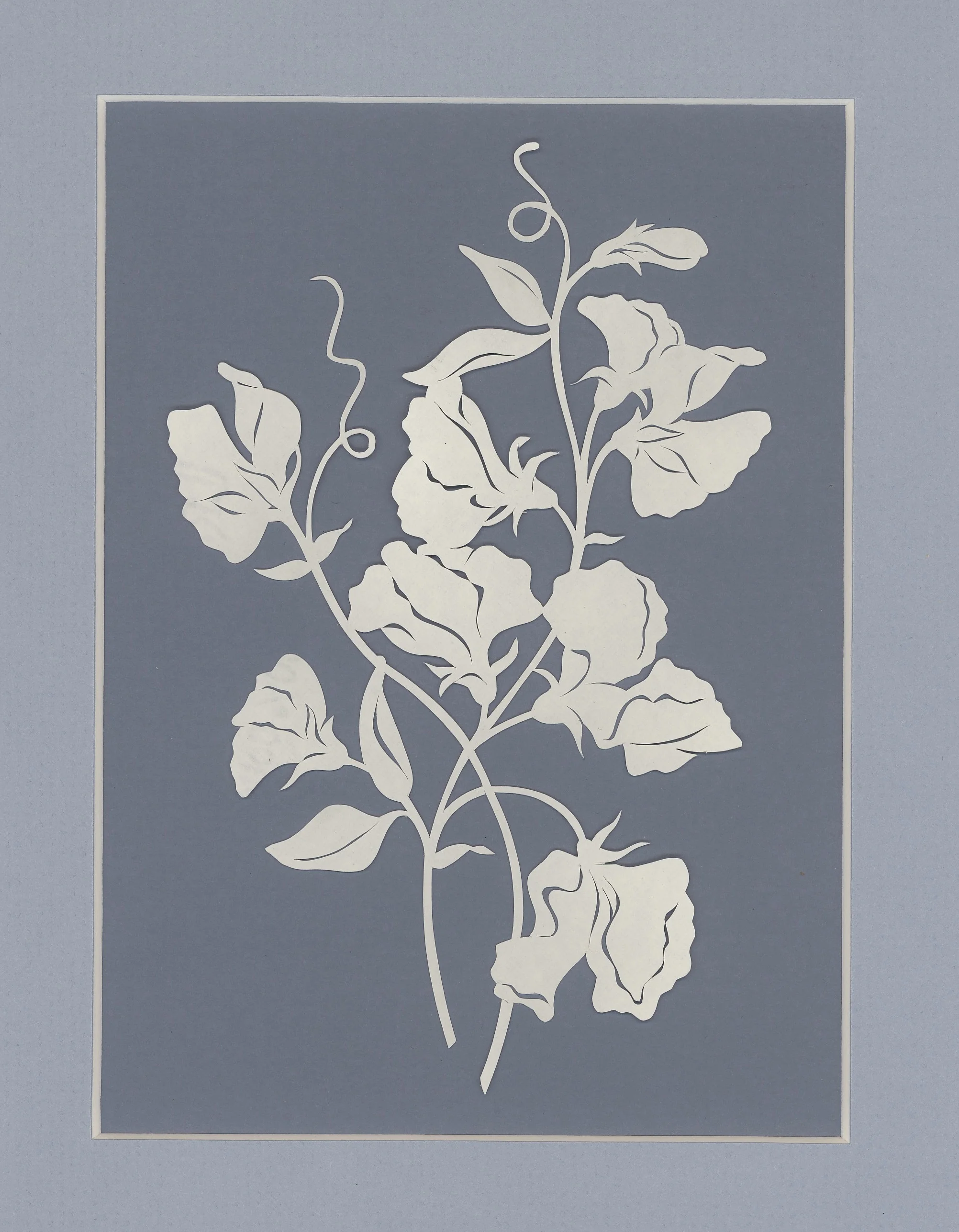 sweet peas-color.'14.jpeg