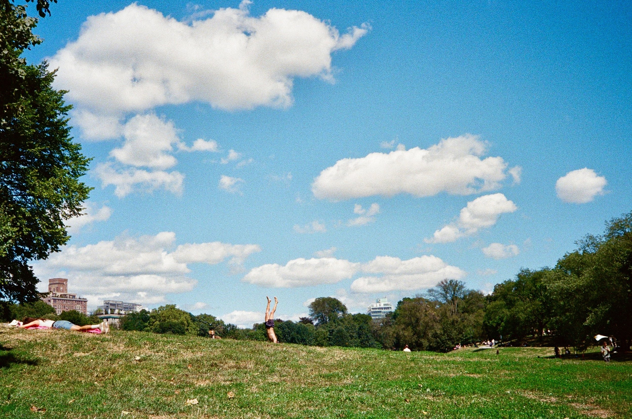 McCarthy_Handstand_Grandstand.jpg