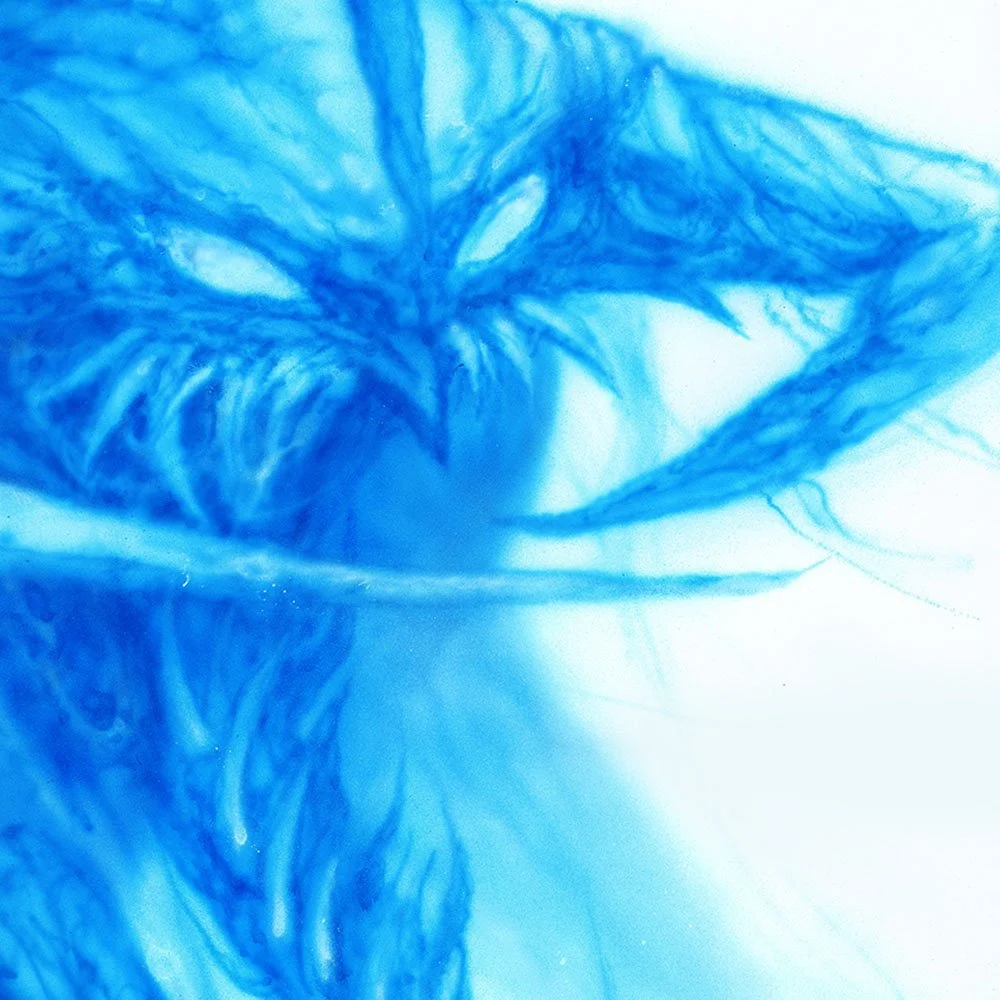 Mark-Worst_Violator-Study_Thumbnail.jpg