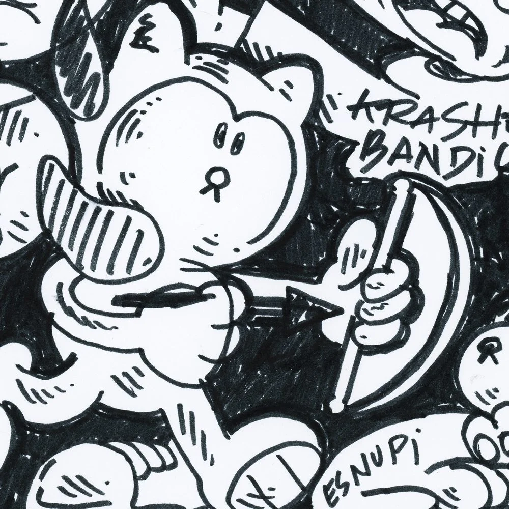 IS THAT KRASH BANDICOO?