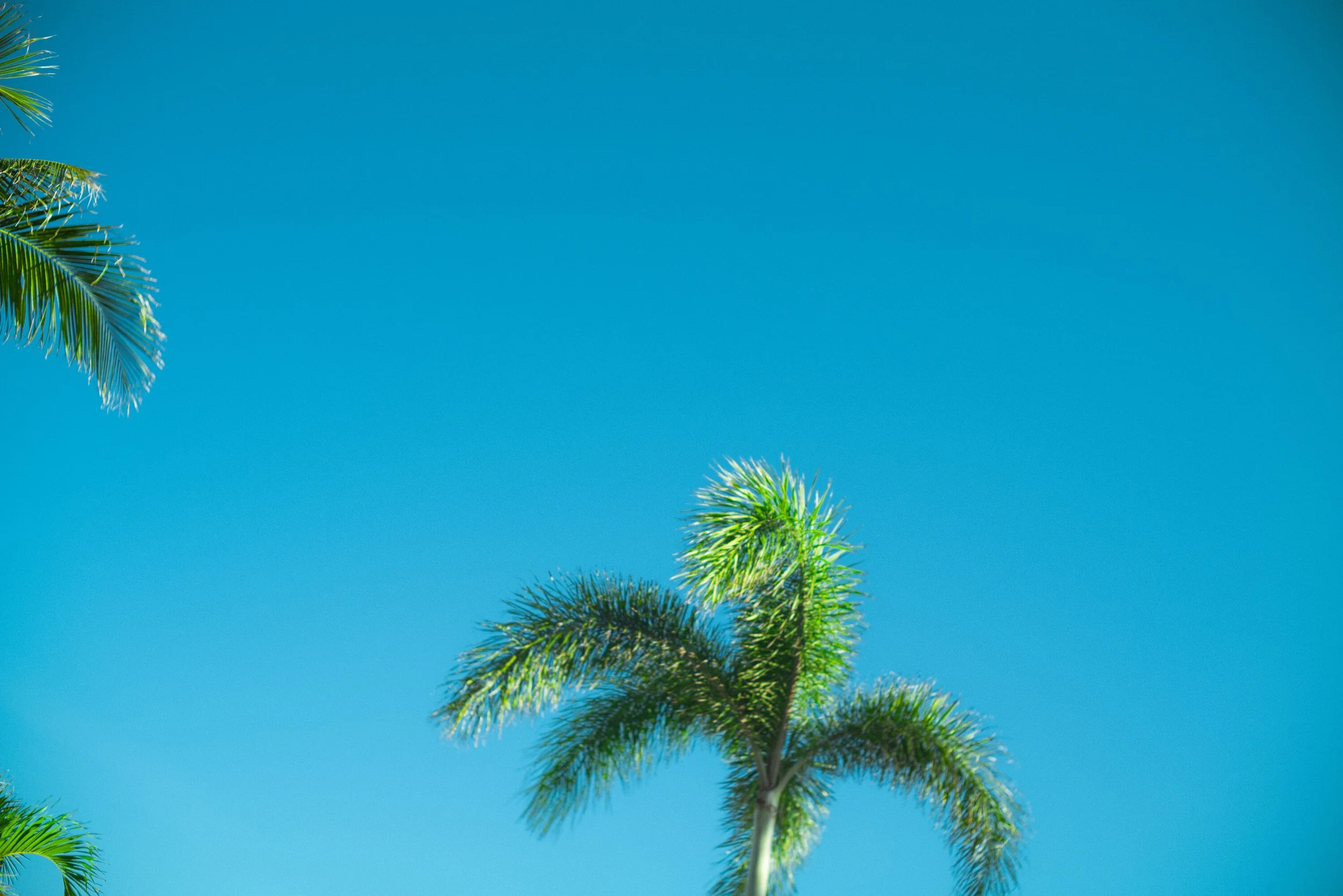 L1020288-web.jpg