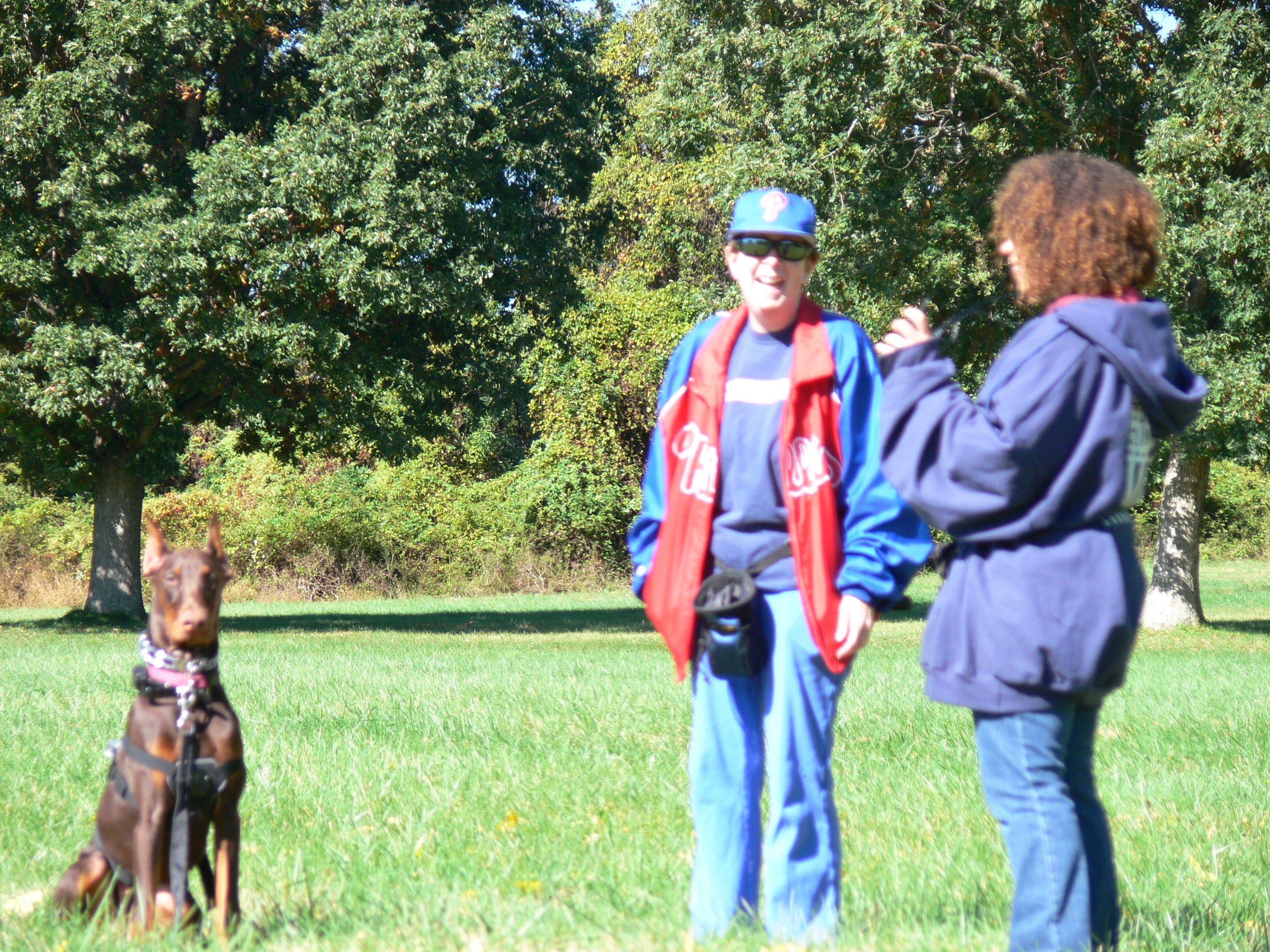 HD Dog Training Llc.