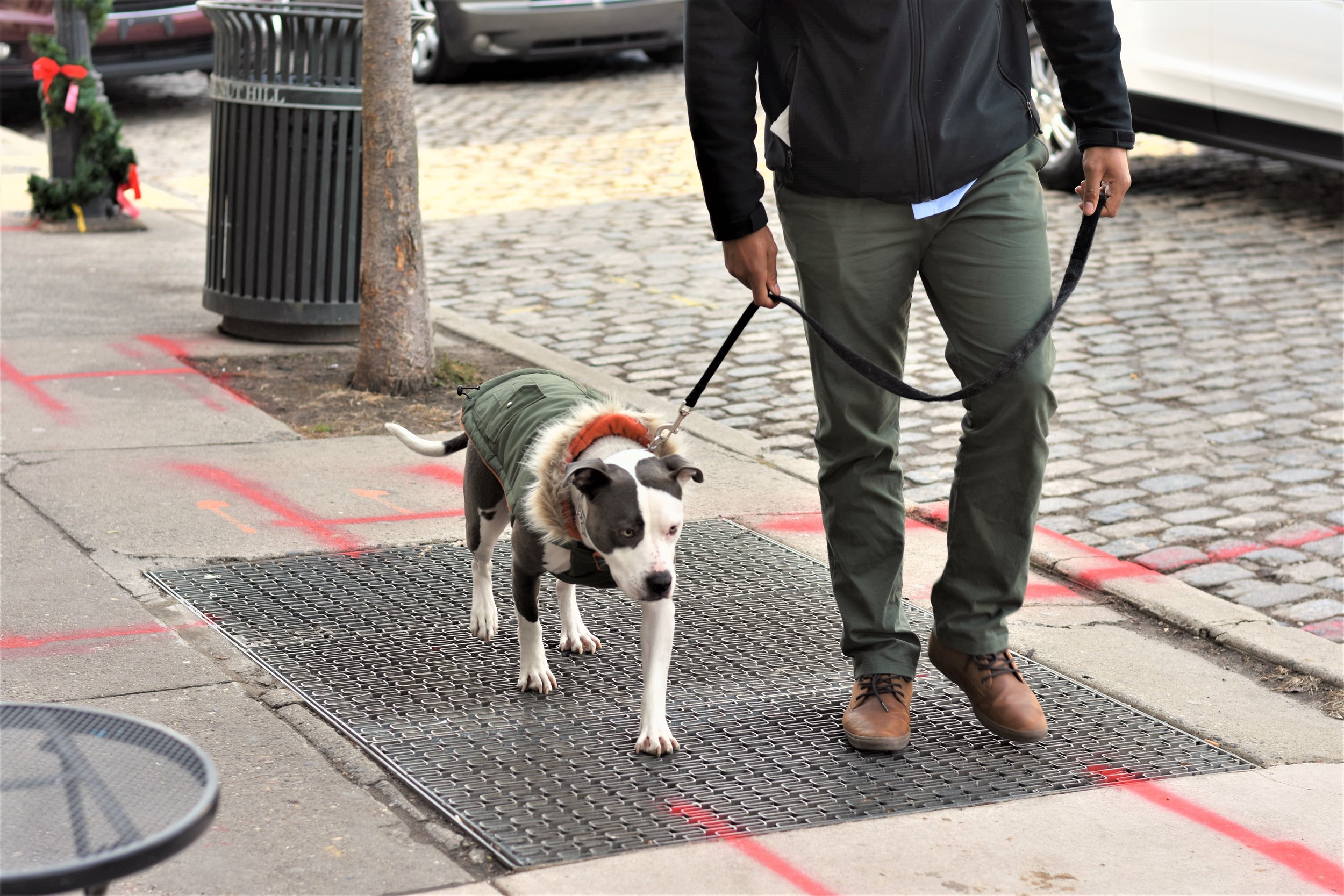 HD Dog Training Llc.