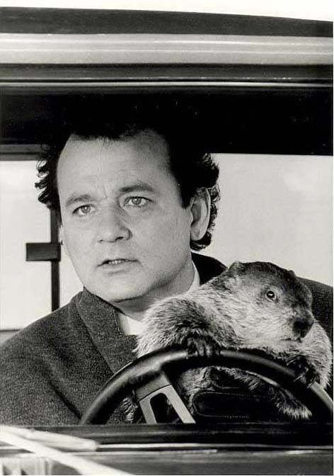 Don't be stuck in Groundhog Day