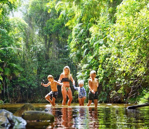 48 HOURS IN THE DAINTREE