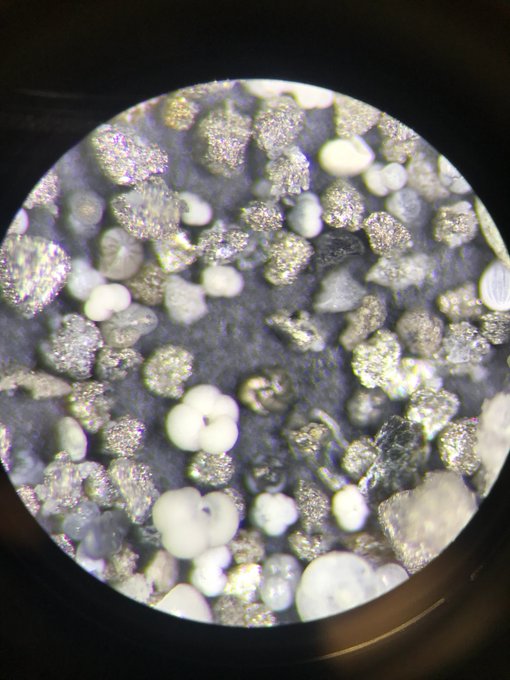 Pyritized sediments and foraminifera from the Chile Margin