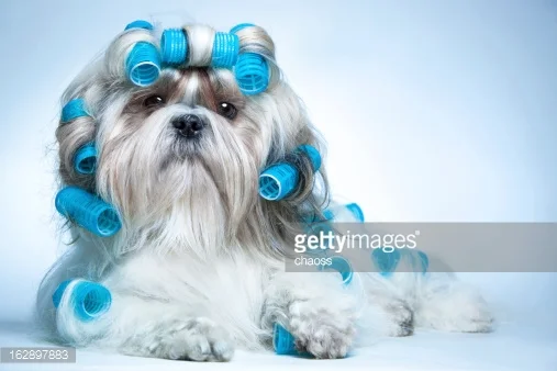 Photo by chaoss/iStock / Getty Images