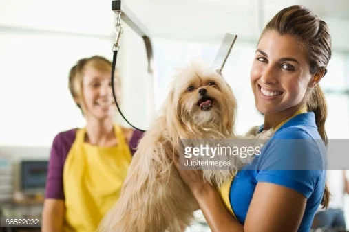 Photo by Jupiterimages/Stockbyte / Getty Images