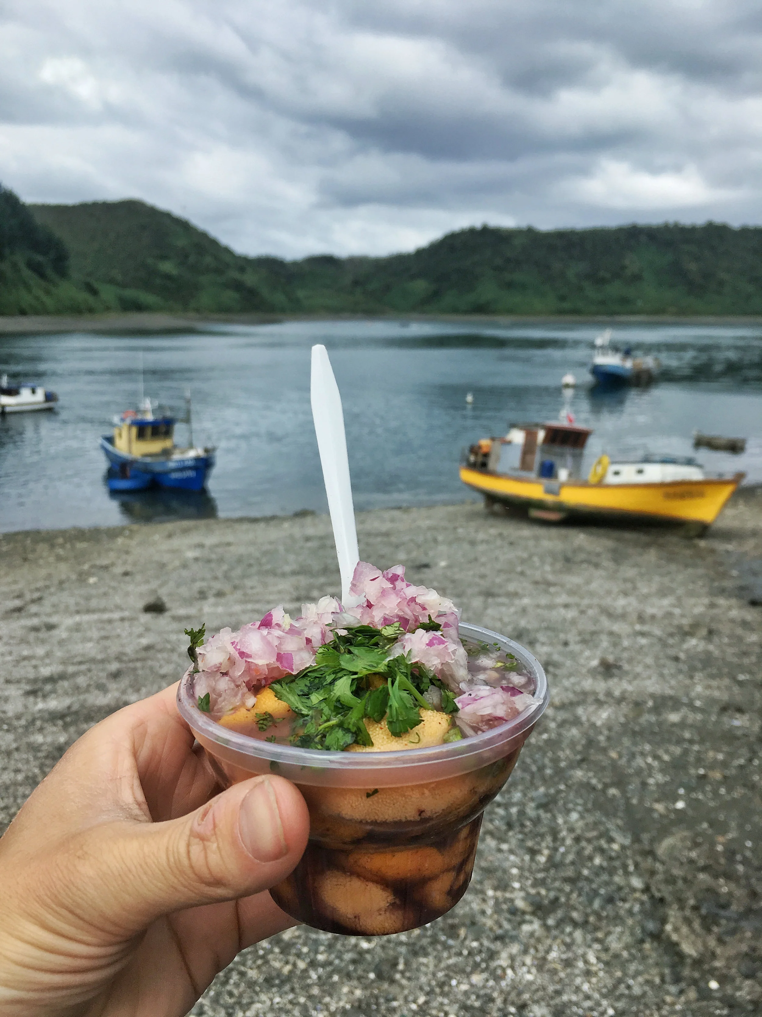 Urchin ceviche, oh so tasty