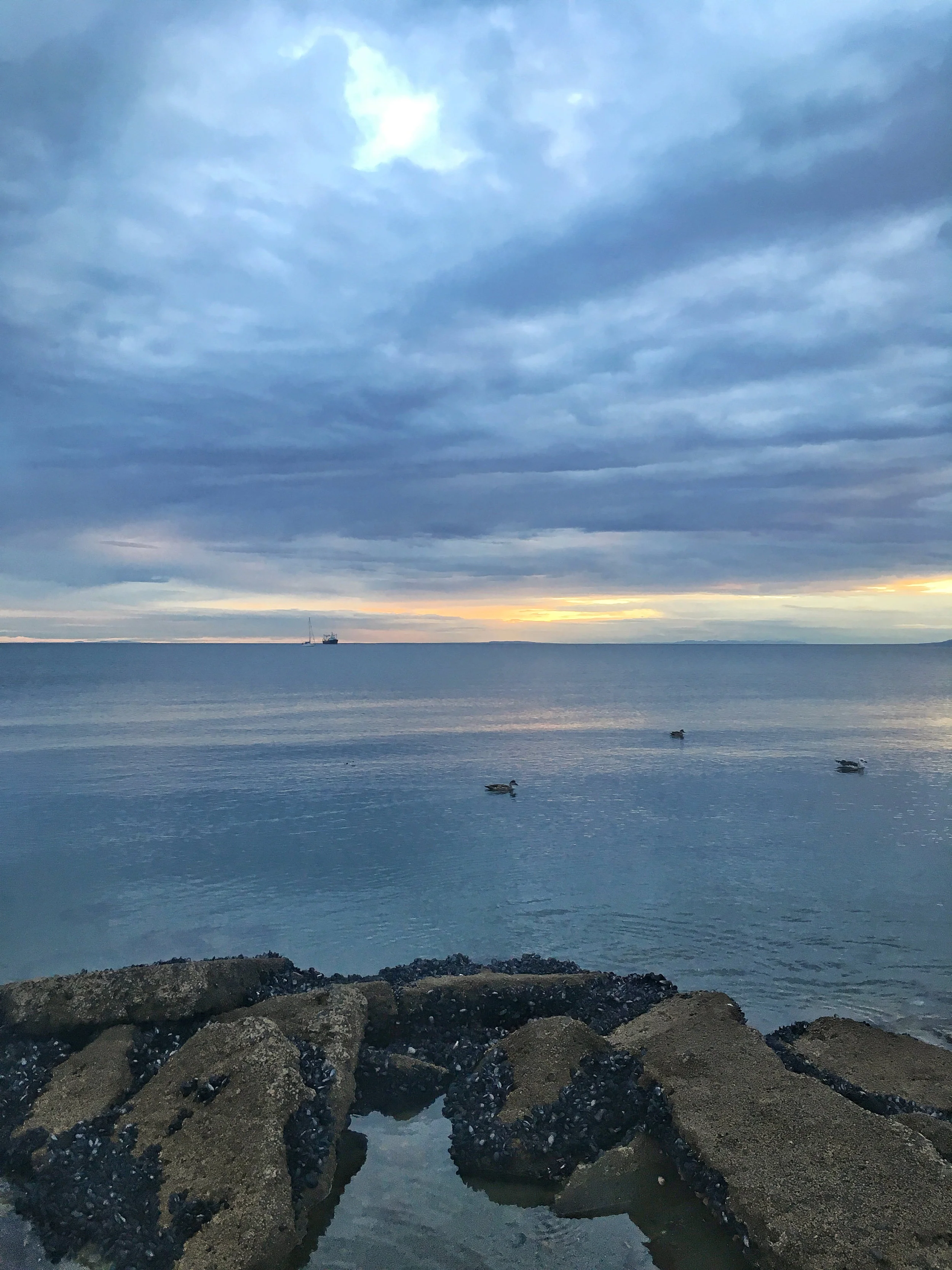 A calm evening on the Strait of Magellan; Punta Arenas, Chile