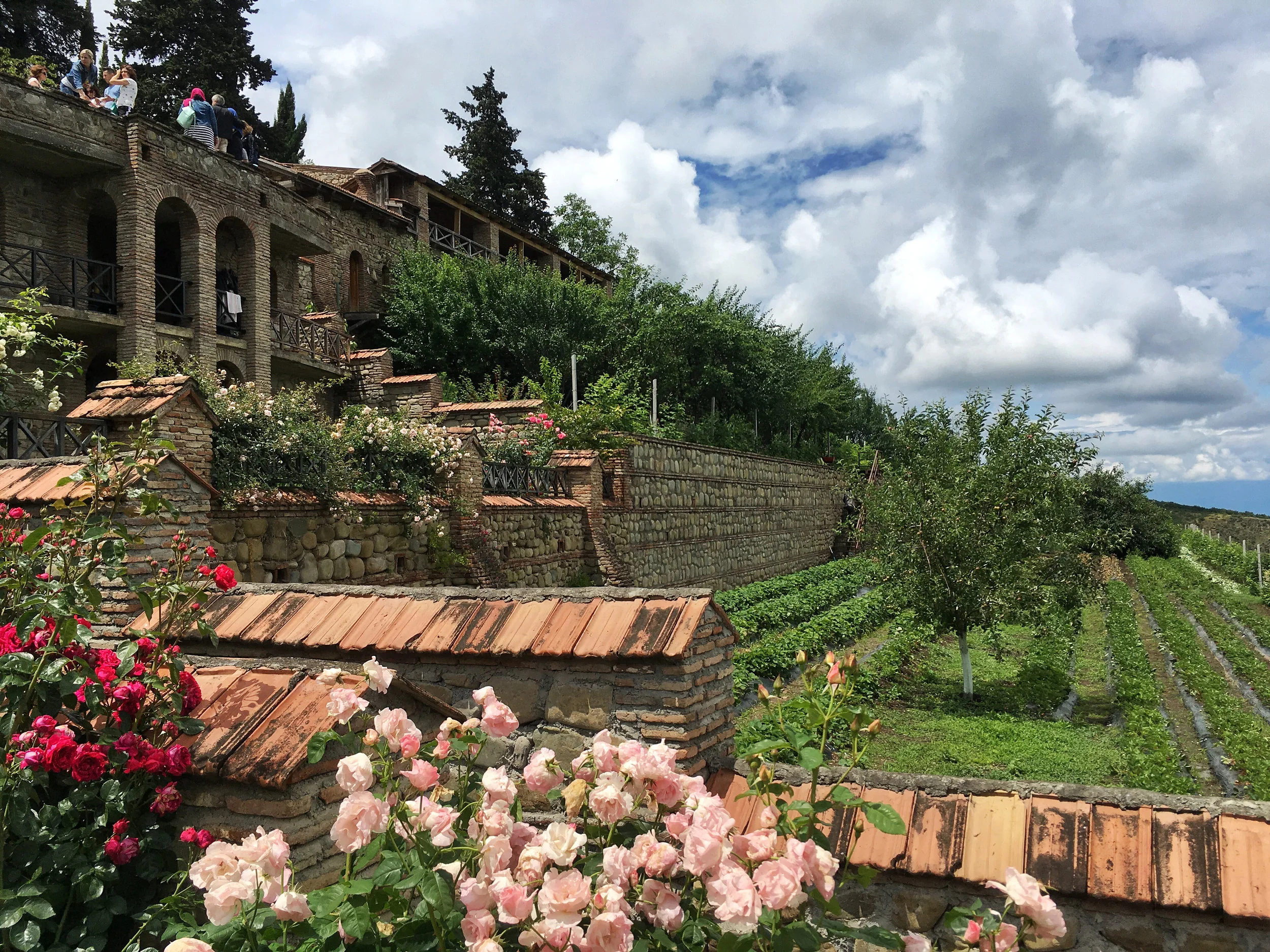 Roses and veggies at St. Ninos Monastery