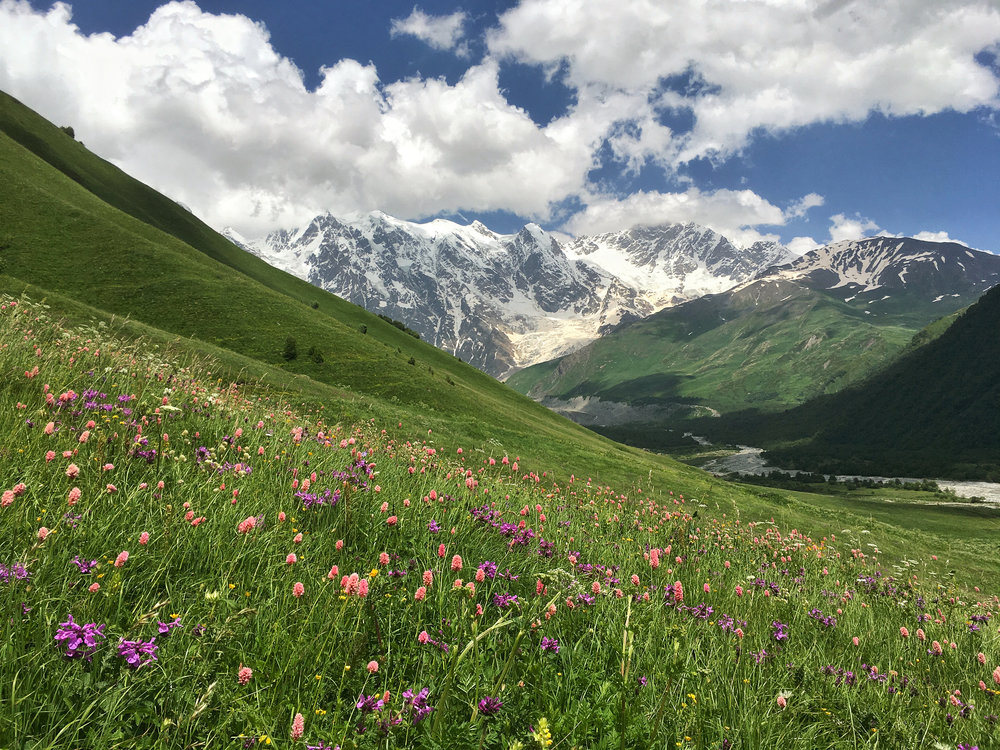  There is nothing quite like mountains and wildflowers 