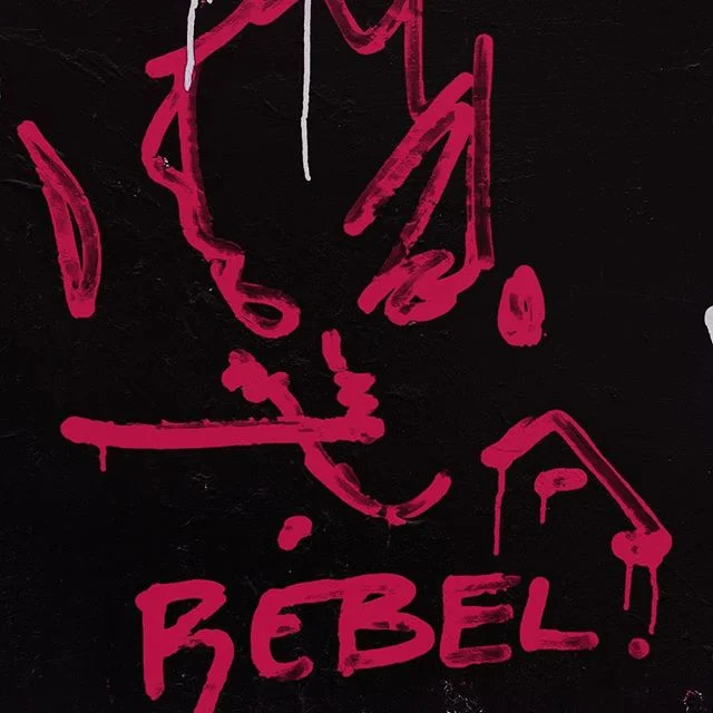 Rebel against the broken machine. We have been disillusioned to think recycling is about putting material in a bin and being a good citizen....but the truth is that we're just sorting through fire hose of worthless material that was never designed with the end in mind.
We are reclaiming the word "Recycling". True recycling is a circular system that starts at product design and ends with strong end markets for the materials we produce.
#zerowaste #materialmindfulness #recyclingissexy #rebel β¨πβ»οΈ