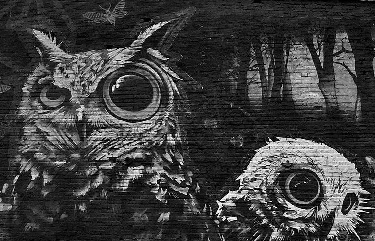 two-owls-on-jamestown-road-street-art-caroline-reyes-loughrey.jpg