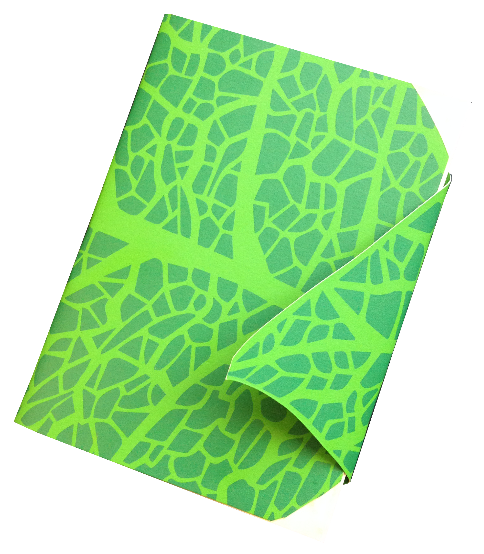 Faerie Book Cover.png