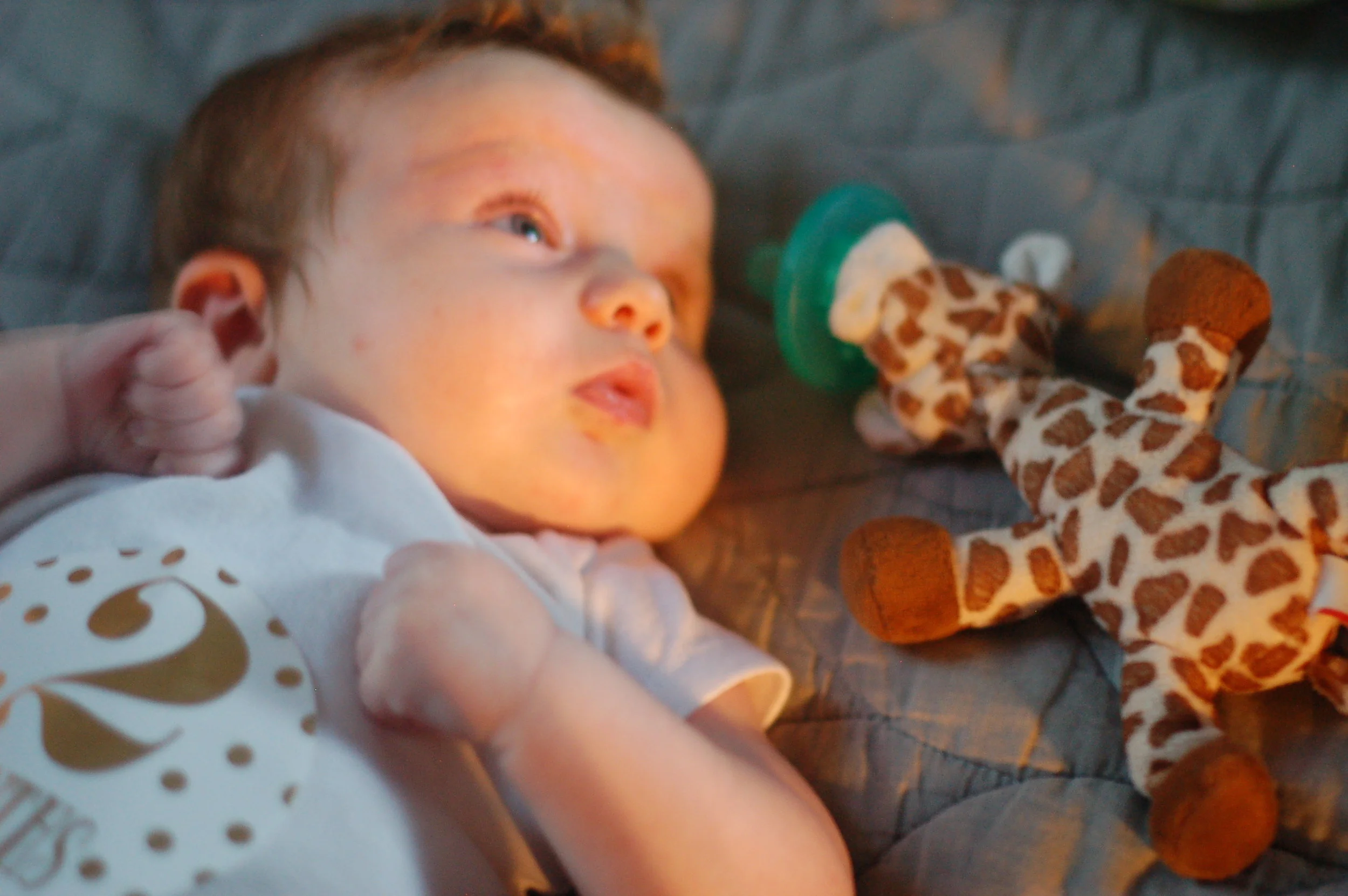 miss e makes: two months