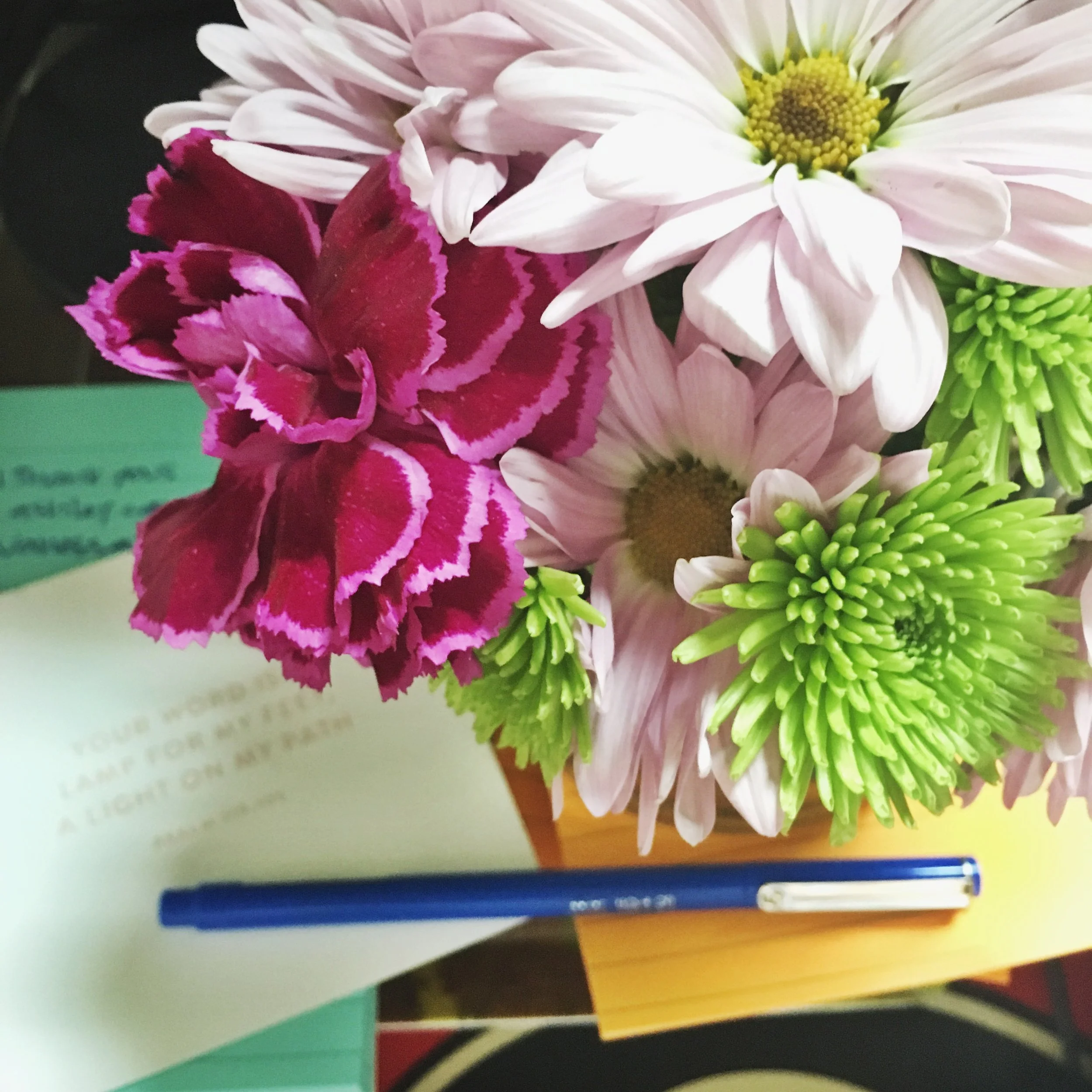 _________ is the thief of joy: comparison