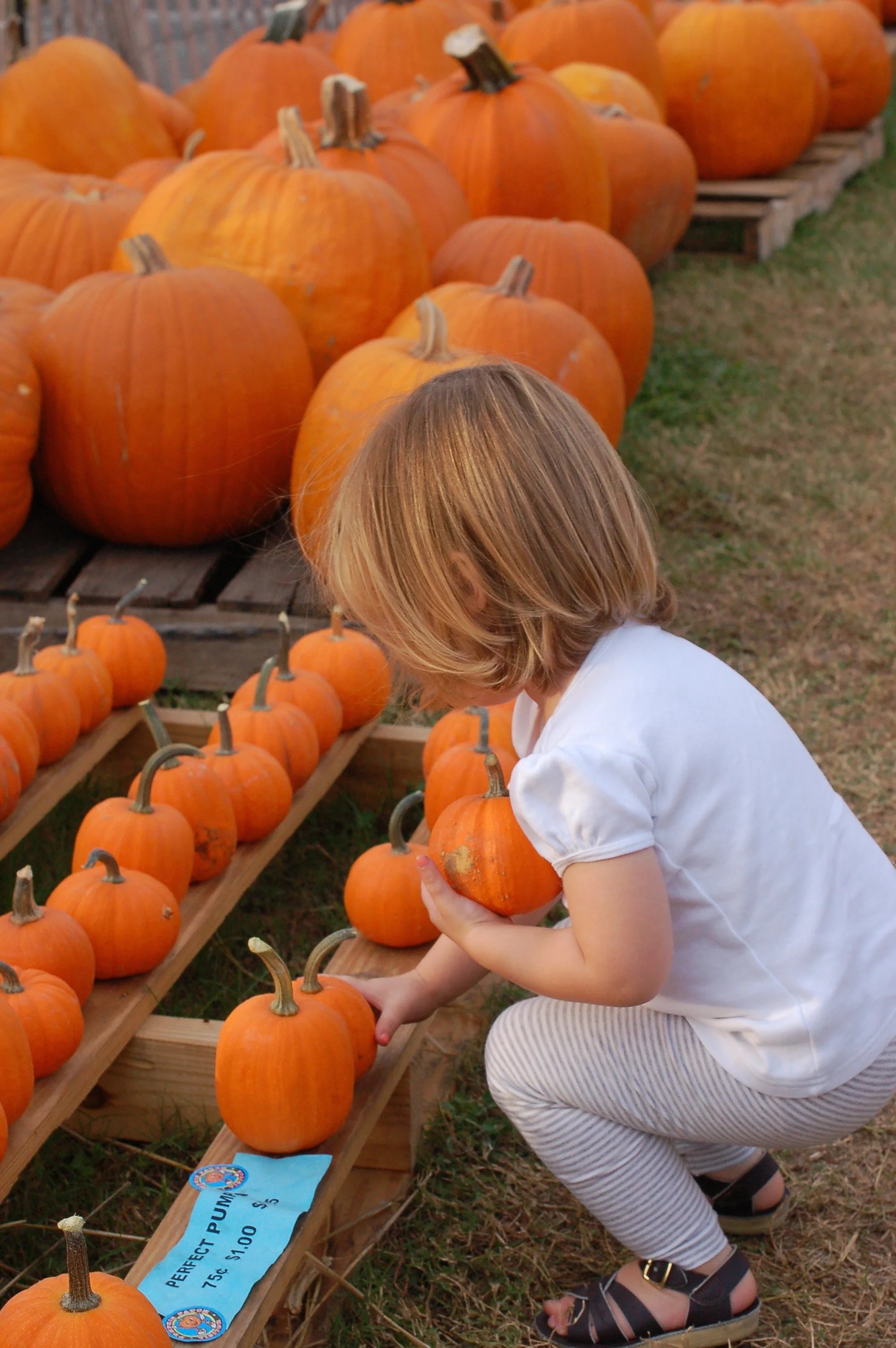escaping perfectionism: popcorn, pajamas at the park, and a parking lot pumpkin patch