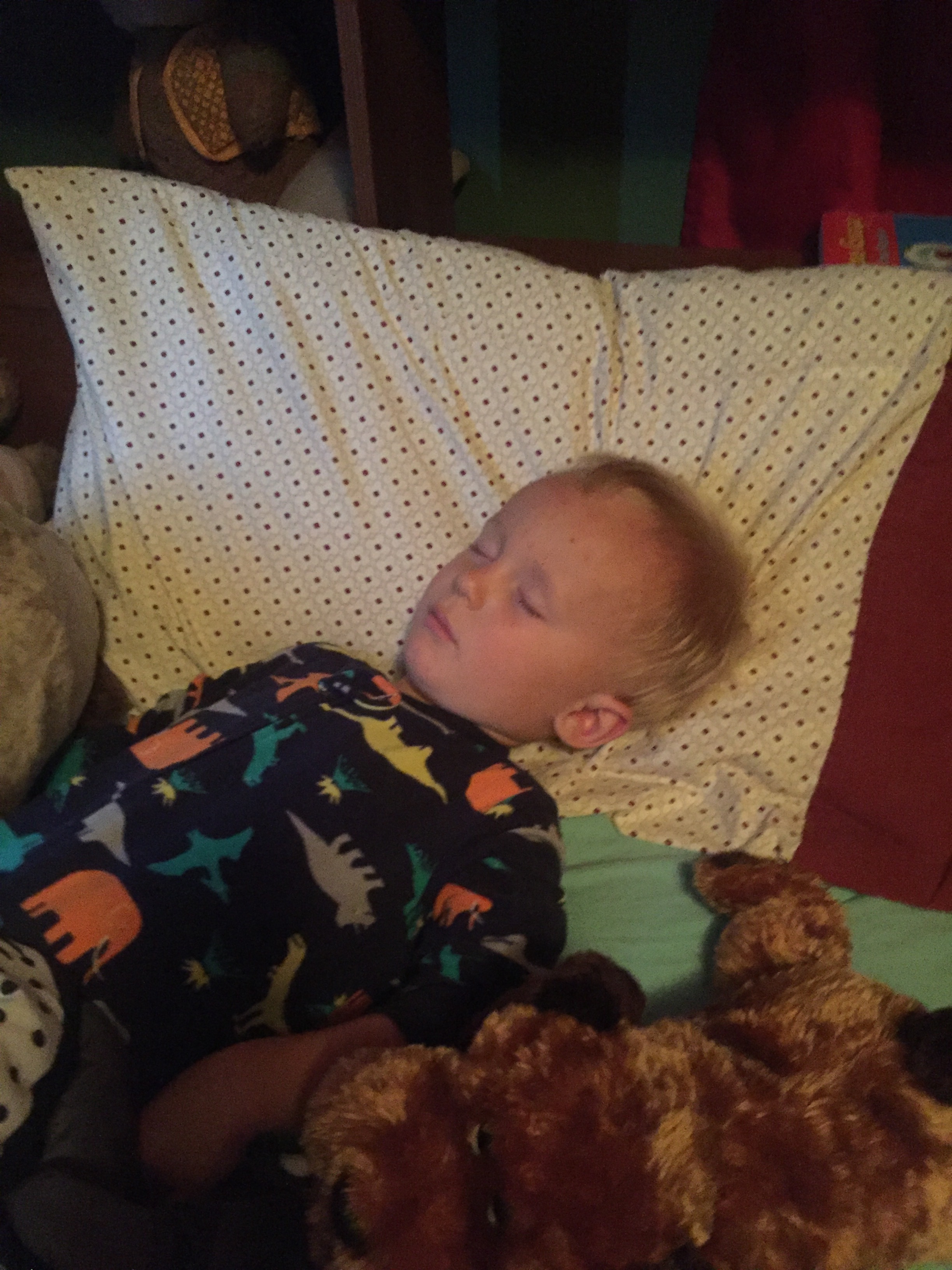 They always sleep so peacefully as soon as it is time for you to get up, don't they?
