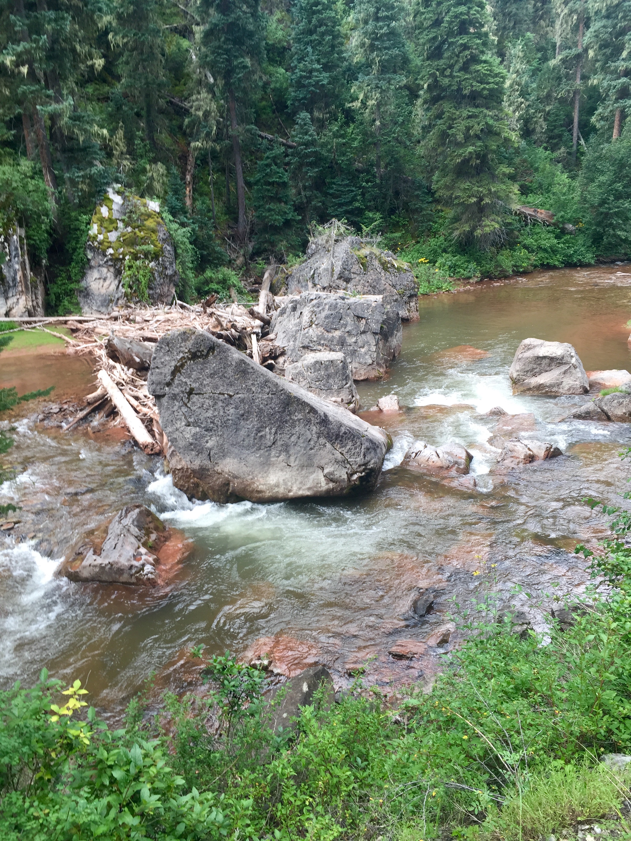 So many spots along this trail demand that you stop to appreciate the beauty, and tempt you to want to jump in. 