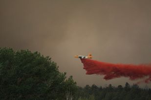 Slurry bomber drops fire retardant on the trees. 