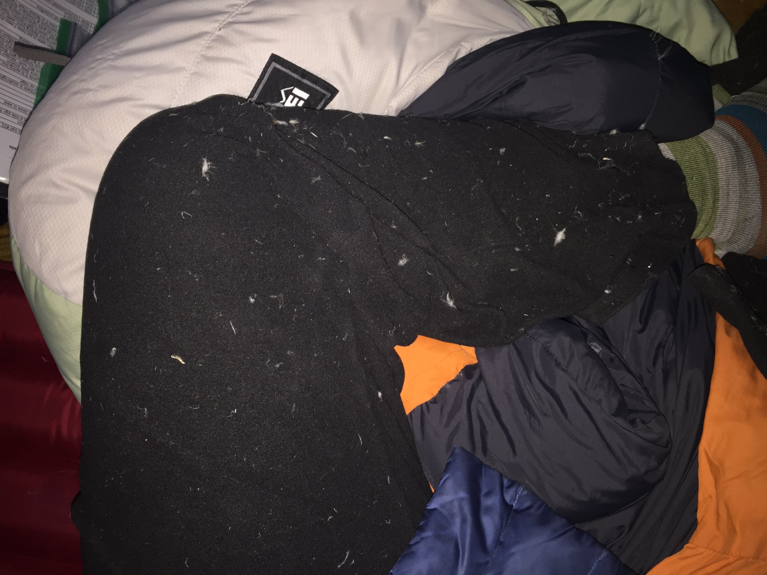 (sigh) My poor bag has been shedding feathers like this a lot lately. I guess it finally caught up with me. 