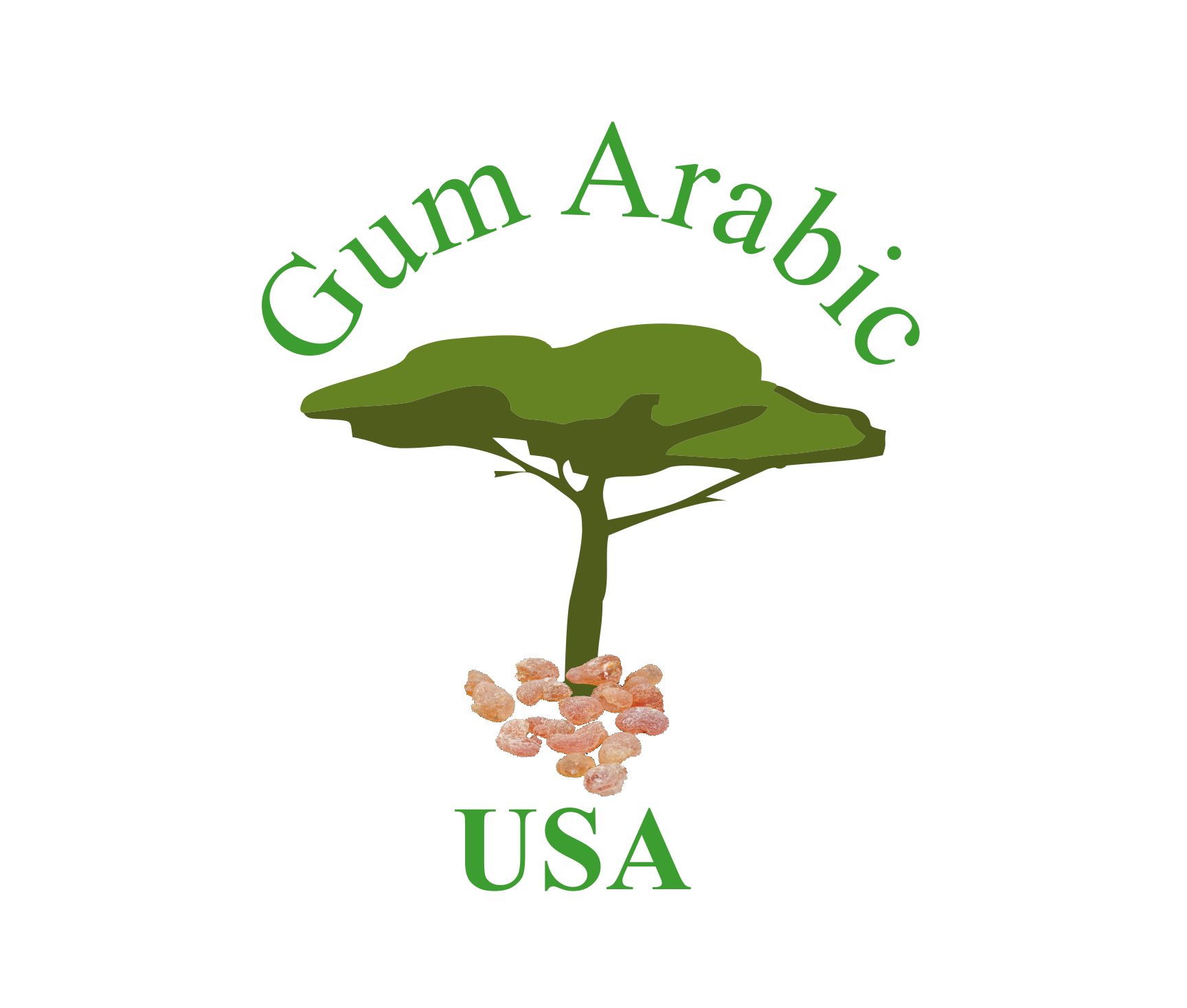 Gum Arabic - 8oz- Arabic Gum - Aacia Gum - 100% Pure and Food Grade Natural Gum - Beautiful and Large Nuggets.- Imported from Africa