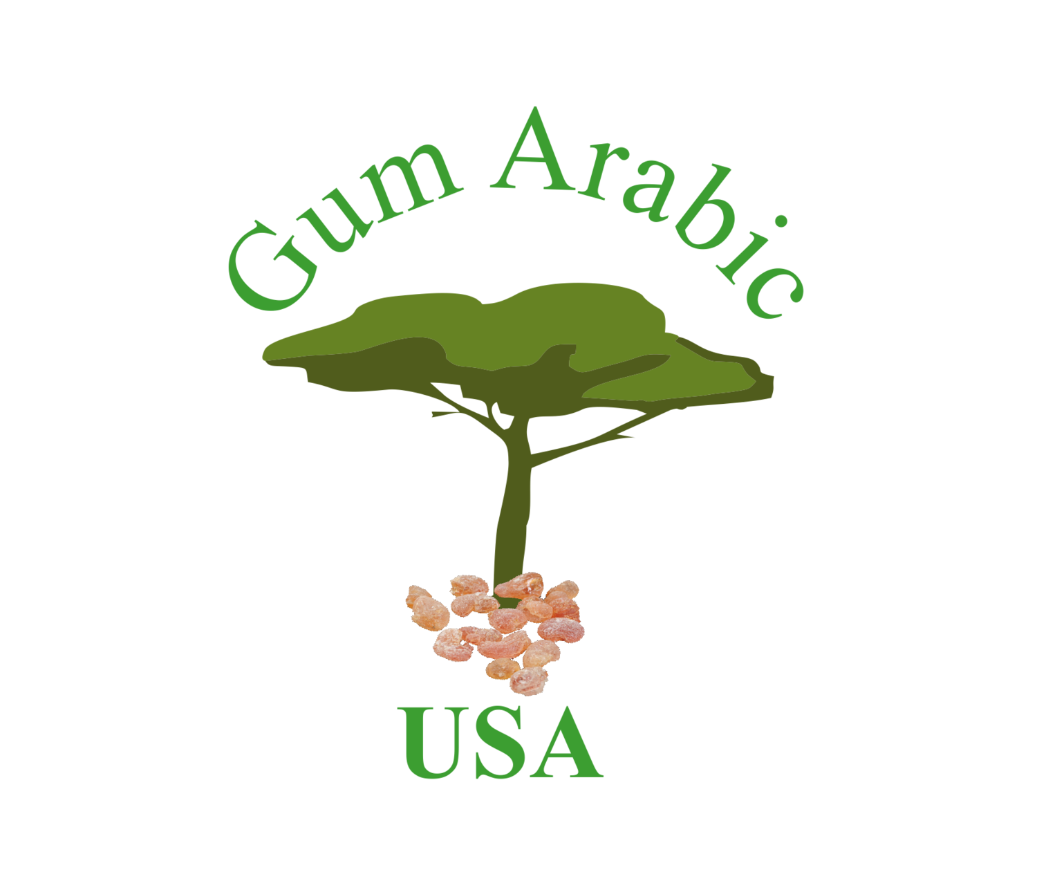 American Journey Powdered Gum Arabic - 16 oz.