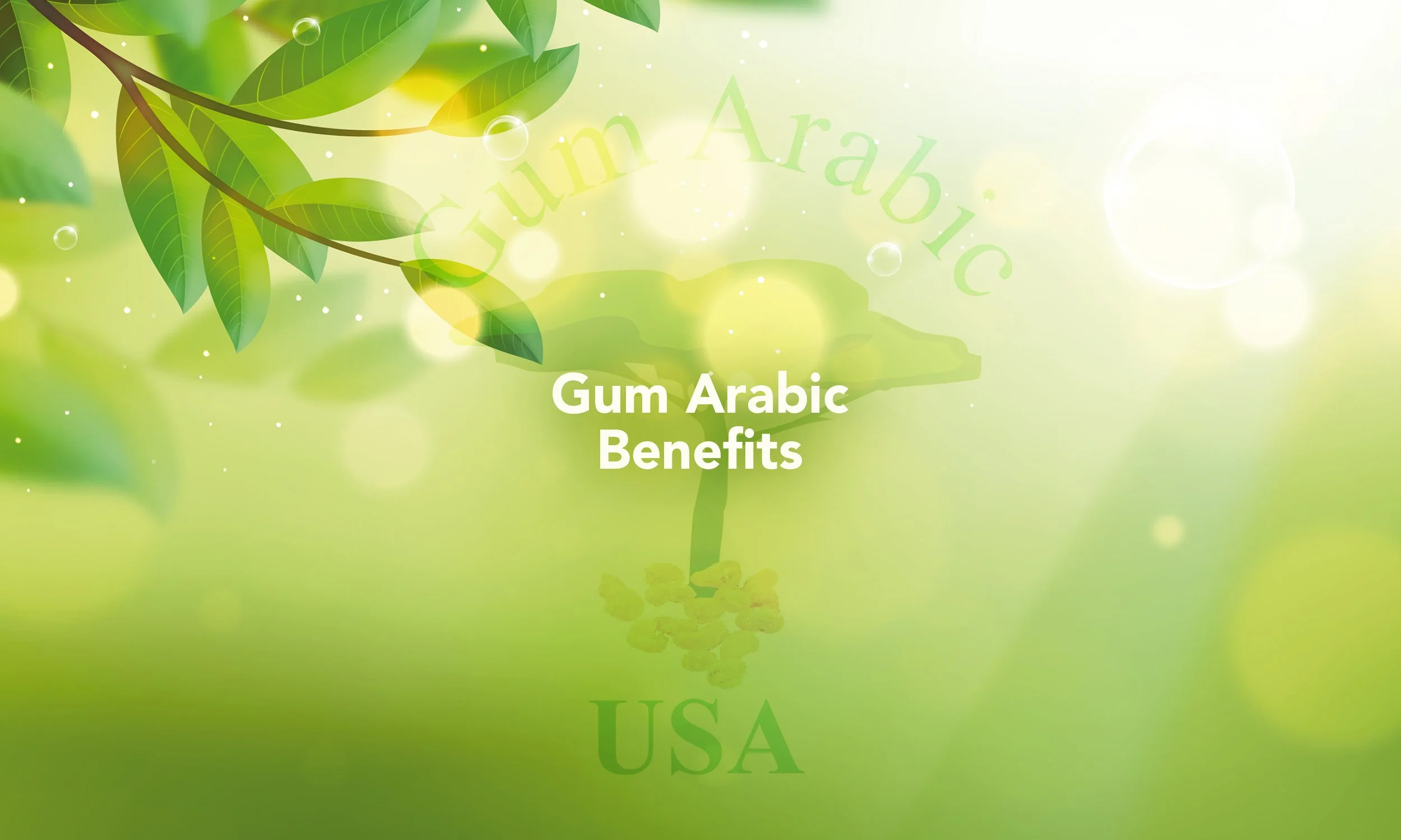acacia-gum-arabic-benefits.jpg