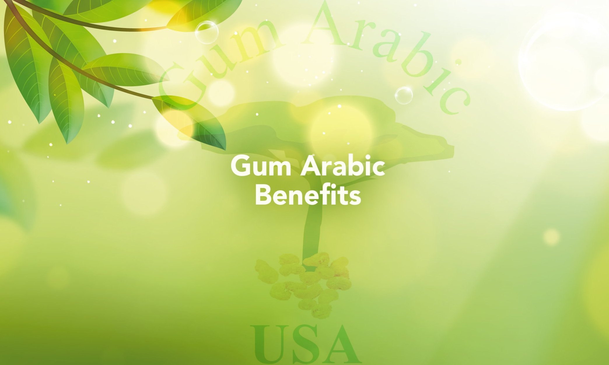 acacia-gum-arabic-benefits.jpg