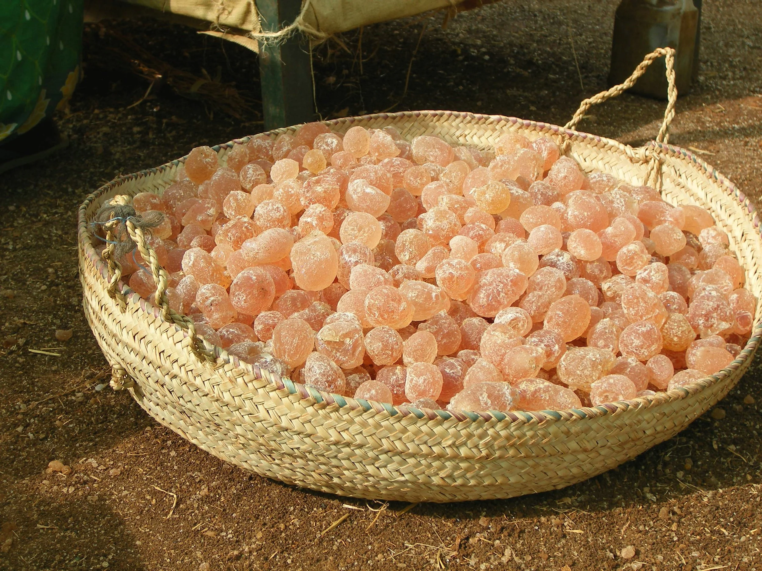 hashab-gum-arabic.jpg