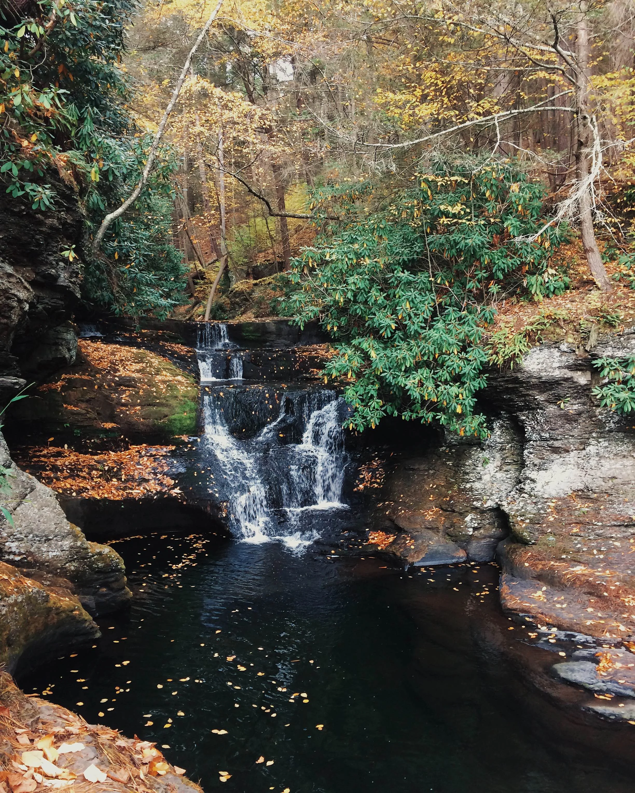 >>Incoming<< Post-Sound Bath High Vibe Channeled Message
