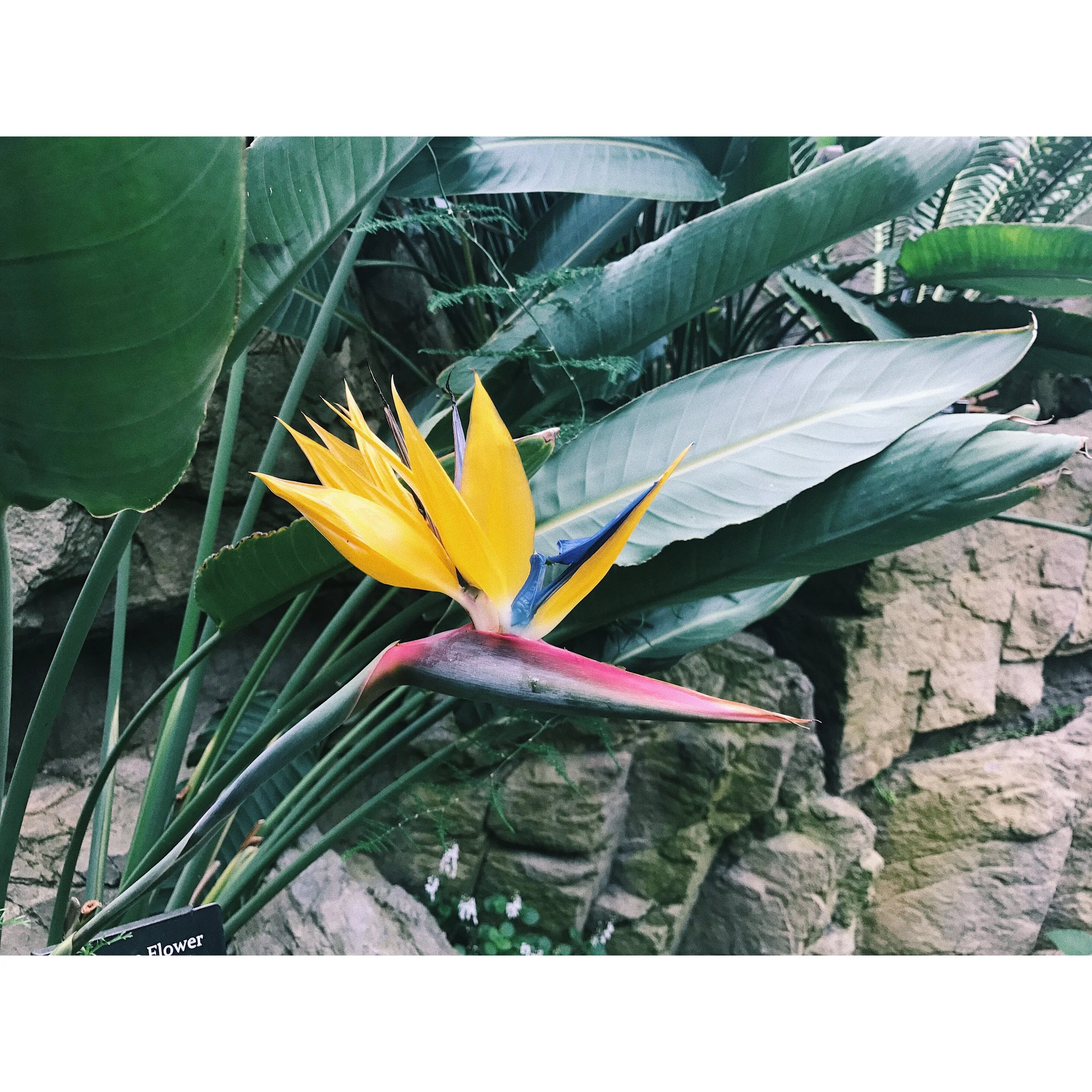 Breathwork Ceremony for Inner Revolution