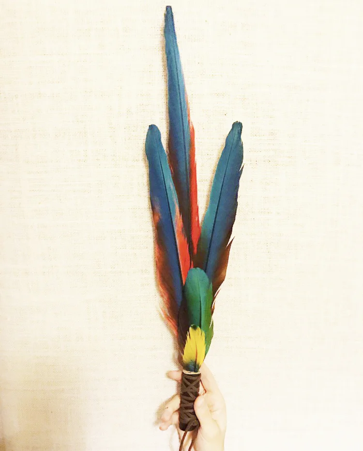 macaw.jpg