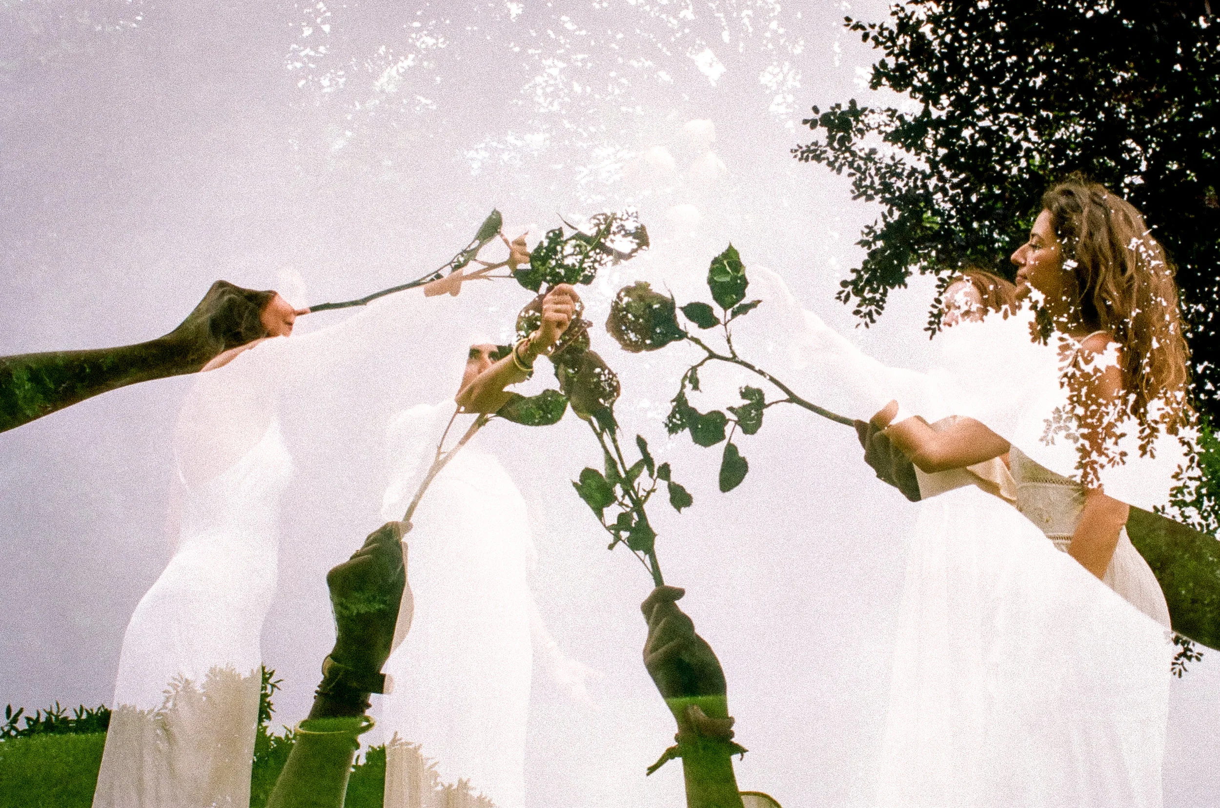 Rose Healing Ceremony