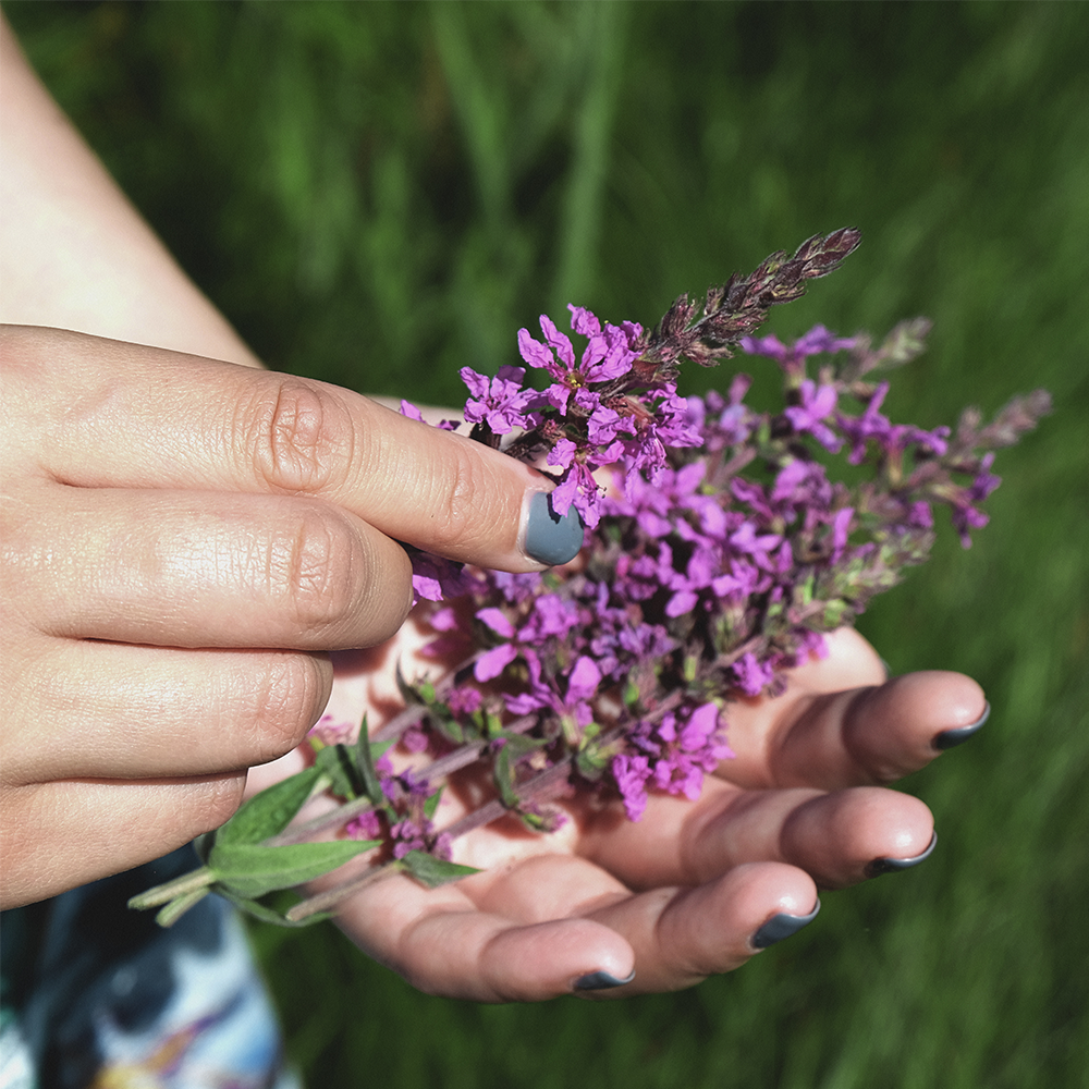 flower1.png