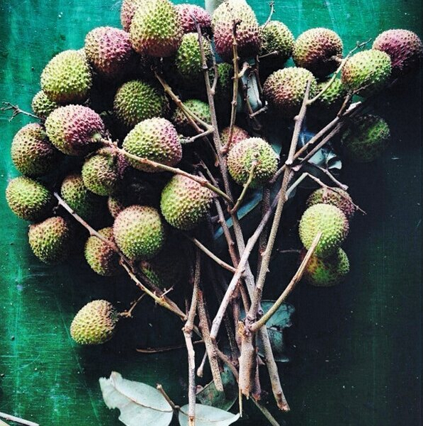 LYCHEE